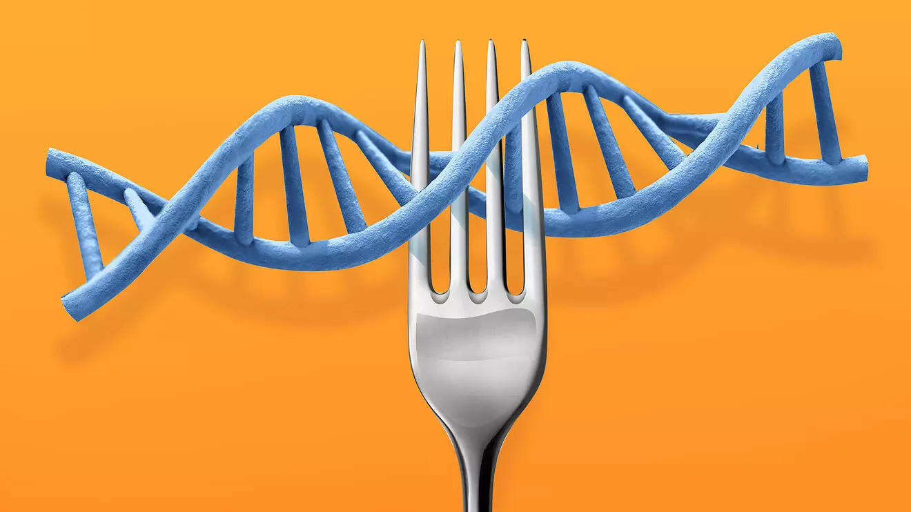 تغذیه و DNA